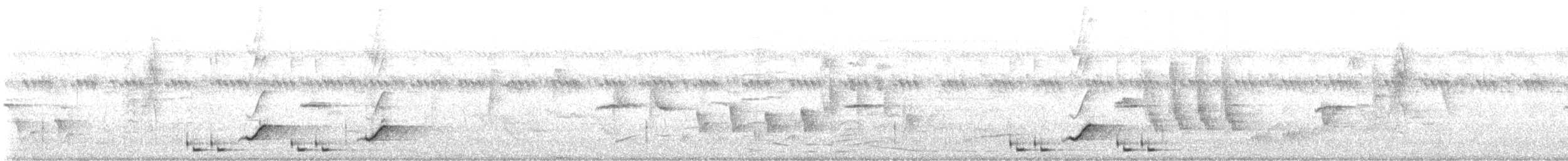 Slate-colored Boubou - ML646189740