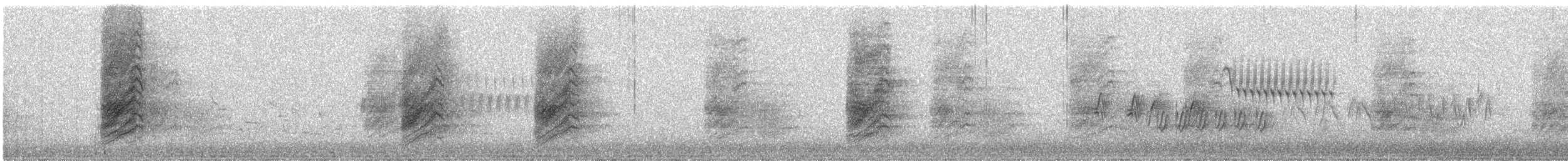 Невадская сойка - ML646190837