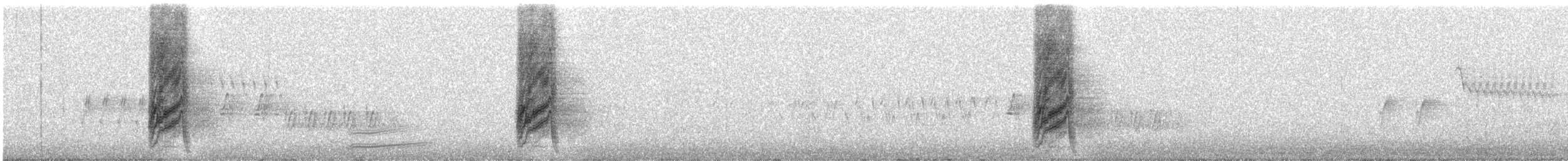 Невадская сойка - ML646190838