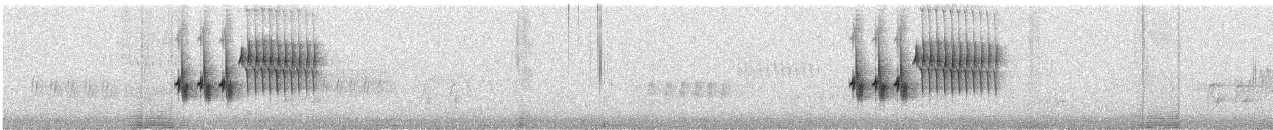 Spotted Towhee - ML646190852