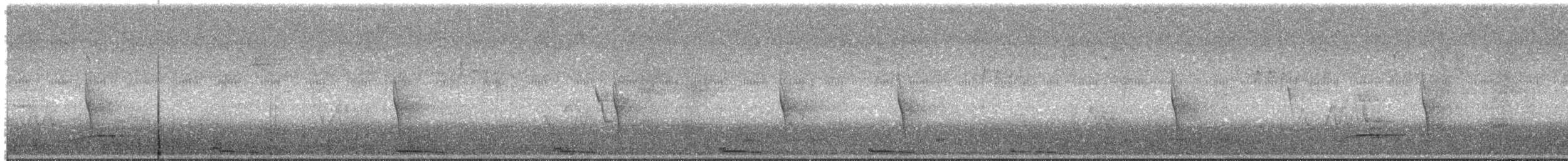 Pearly-breasted Cuckoo - ML646191283