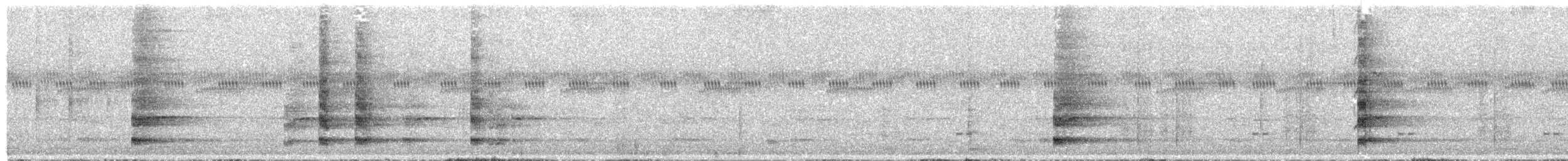 Bare-throated Bellbird - ML646191303