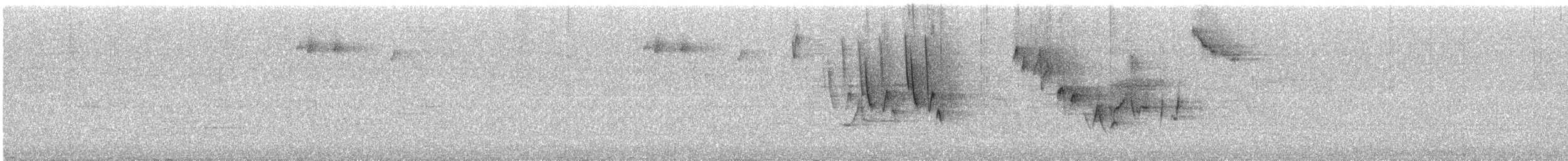 Ovenbird - ML646191512