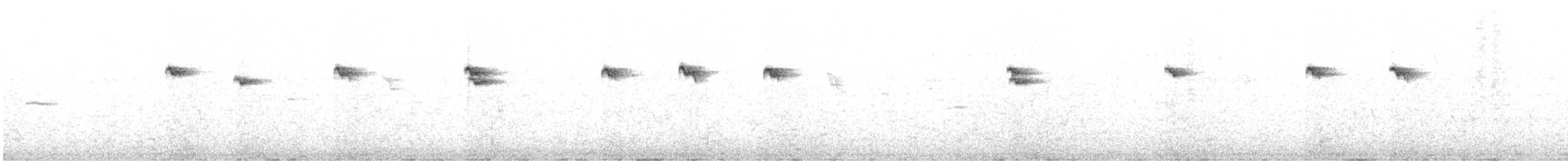 Bengalino comune - ML646191698