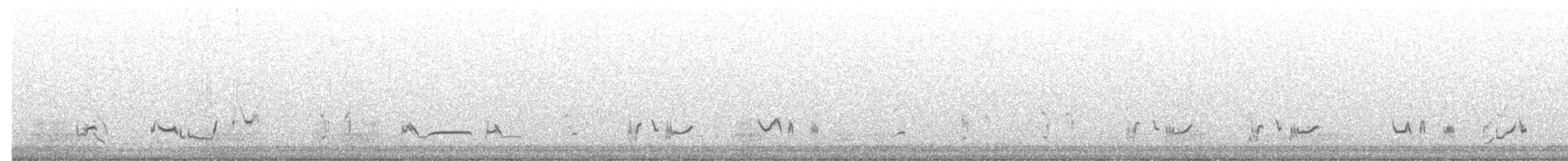 LeConte's Thrasher - ML646191924