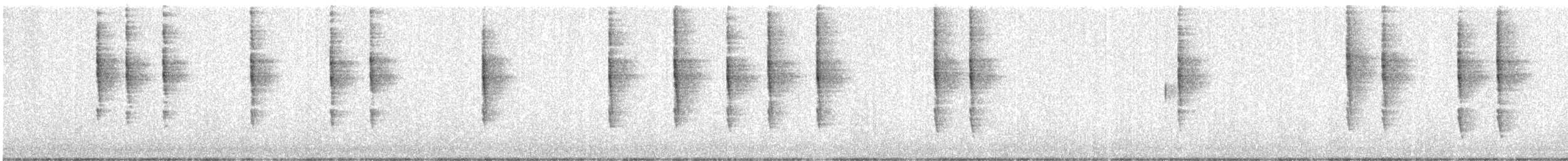 Pacific Wren - ML646192560