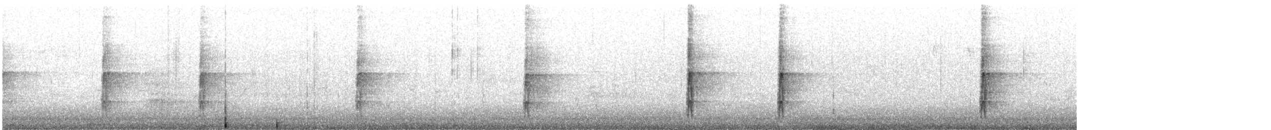 strakapoud velký [skupina major] - ML646192625