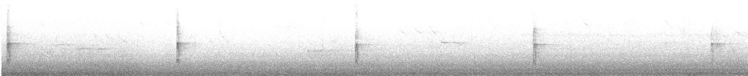 strakapoud velký [skupina major] - ML646193358