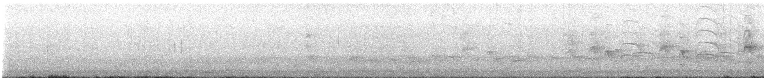 Great Kiskadee - ML646193401