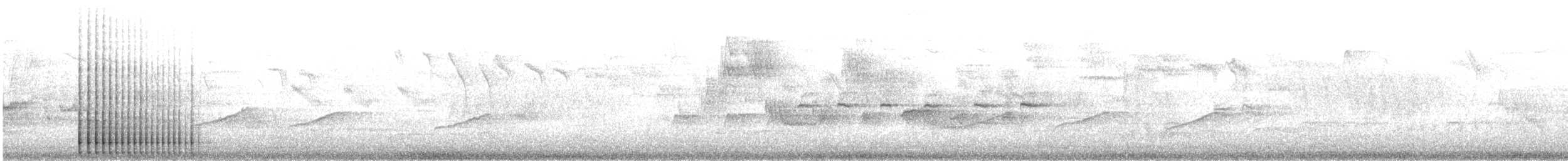 strakapoud velký [skupina major] - ML646193569