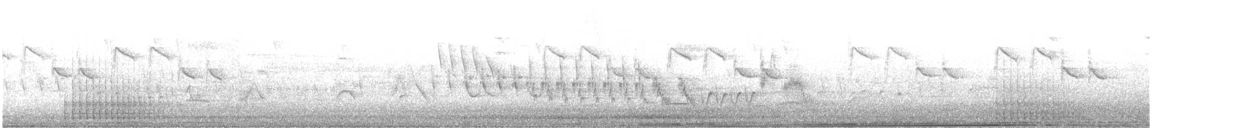 strakapoud velký [skupina major] - ML646193859