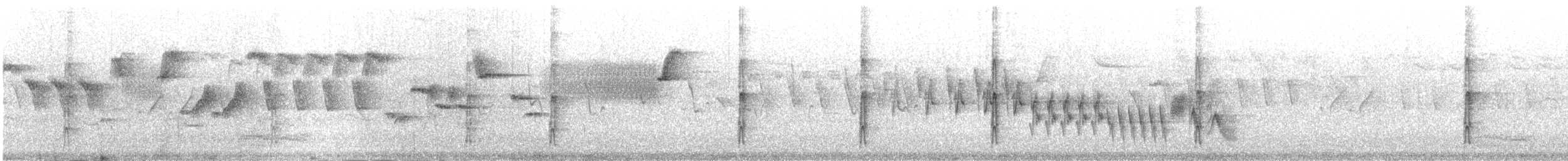 Great Spotted Woodpecker (Great Spotted) - ML646193918