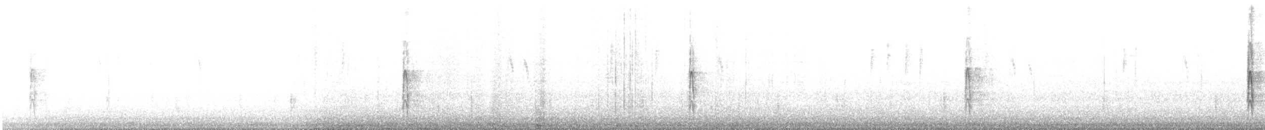 strakapoud velký [skupina major] - ML646193986