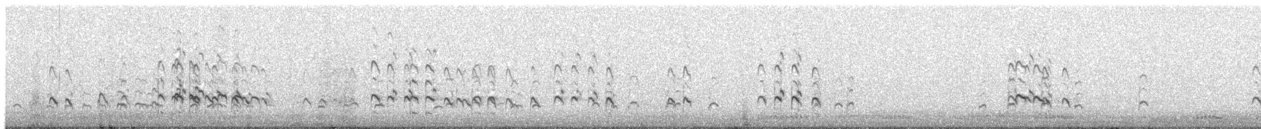 Пёстрый улит - ML646194106