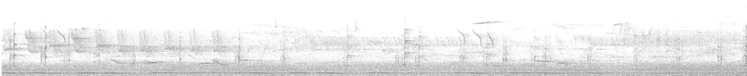 flaggspett (major gr.) - ML646194135