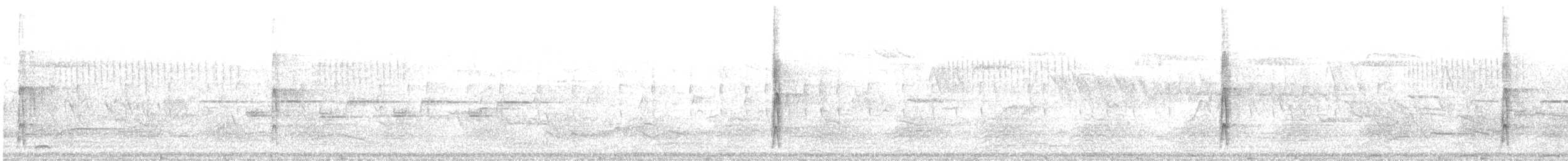 flaggspett (major gr.) - ML646194136