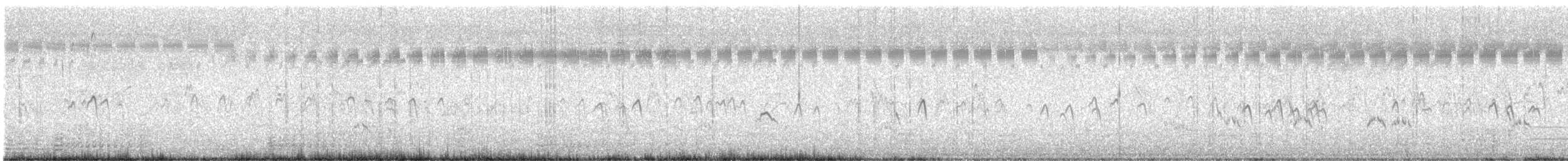 vodouš bahenní - ML646194265