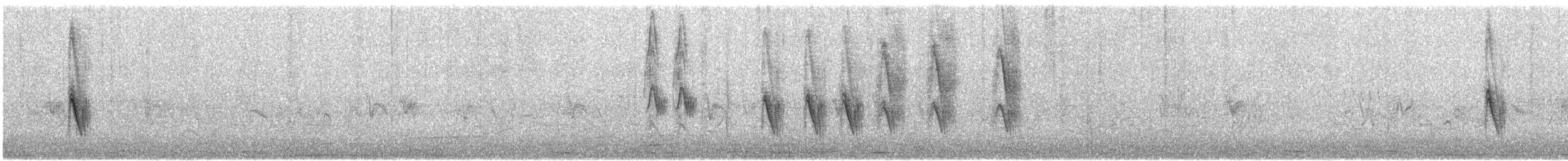 snovač jihoafrický - ML646194370