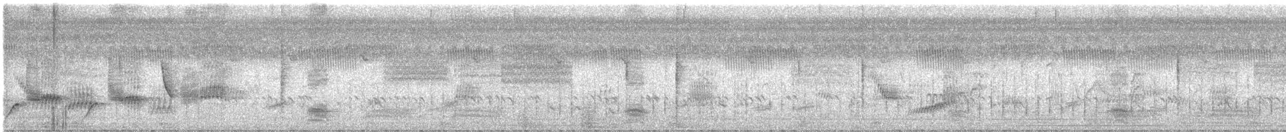 špaček indický - ML646194448