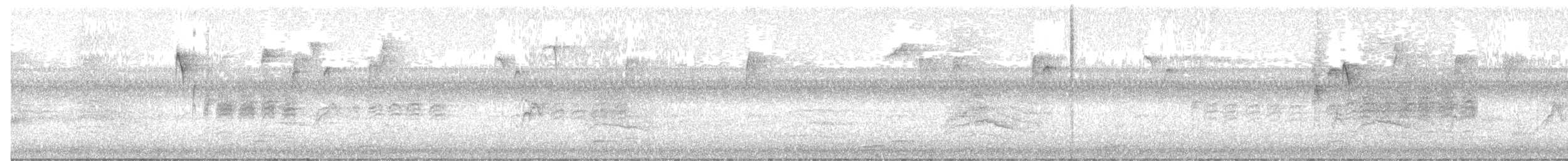 Carolina Chickadee - ML646194527