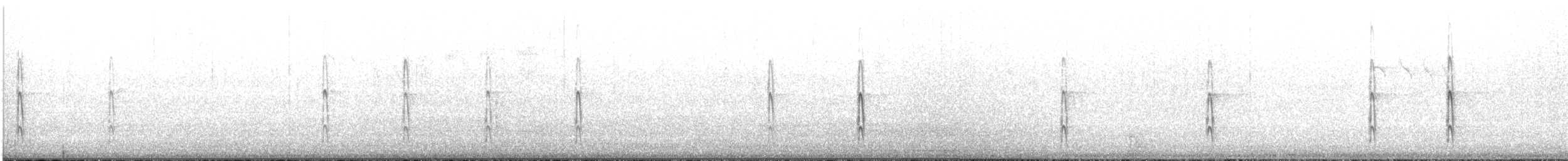 strakapoud velký [skupina major] - ML646194577