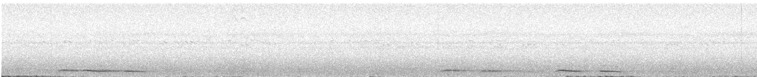 Morepork - ML646194977