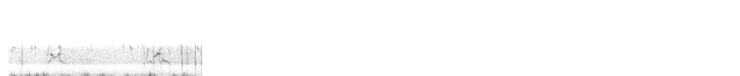 アメリカムナグロ - ML646195104