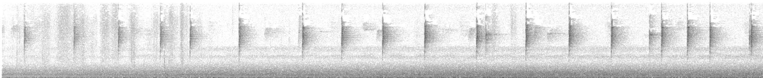 papežík indigový - ML646196007