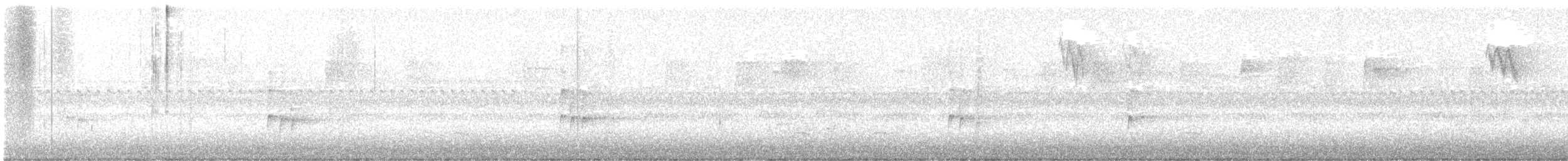 střízlík karolínský - ML646196207