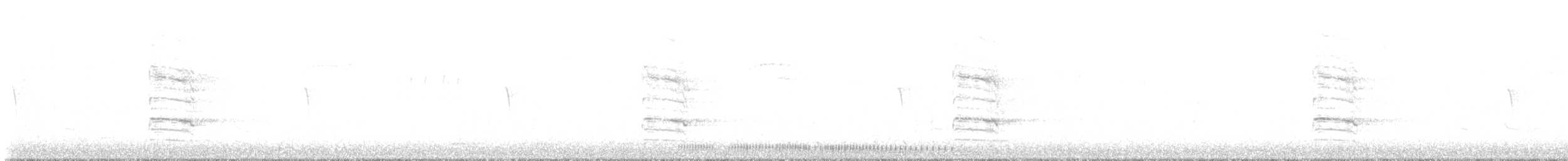 morčák chocholatý - ML646196531