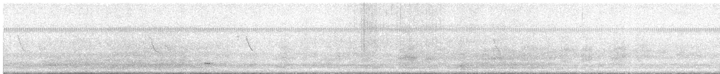 ostralka žlutozobá - ML646196680