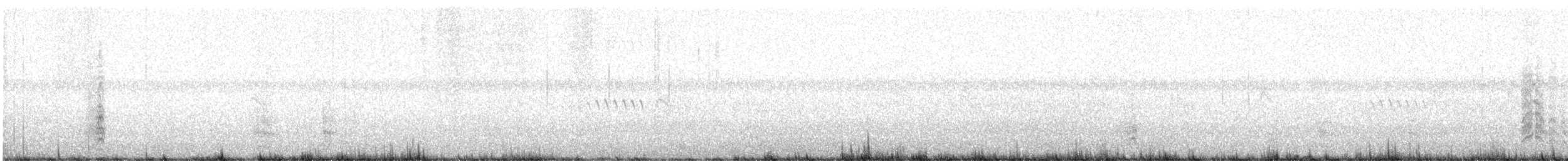 faeton červenoocasý - ML646197296