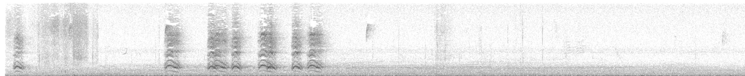 vrána americká - ML646197328