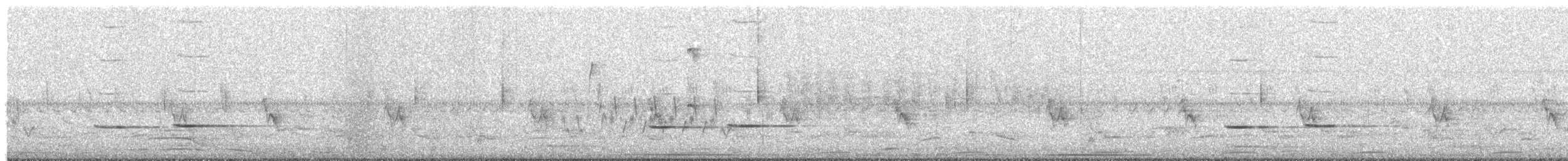 kukačka žíhaná - ML646197450