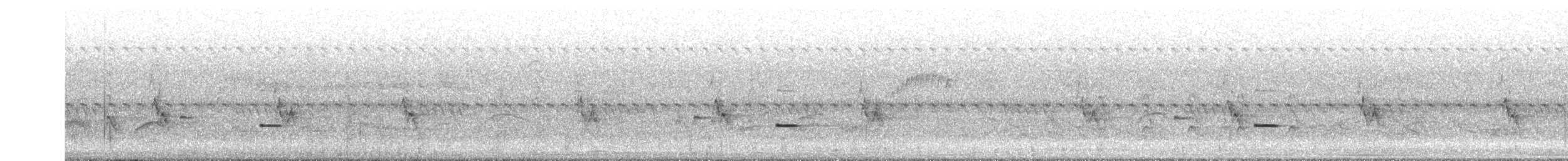 kukačka žíhaná - ML646197451