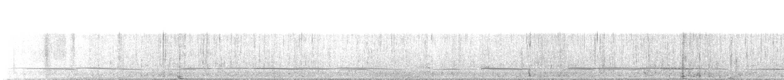 turpan žlutozobý - ML646197476