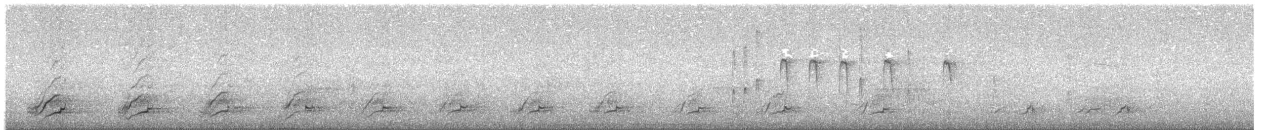 Smooth-billed Ani - ML646197735