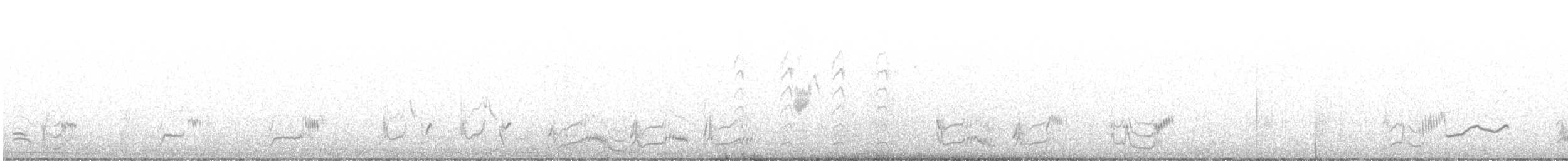 Gray Thrasher - ML646197934