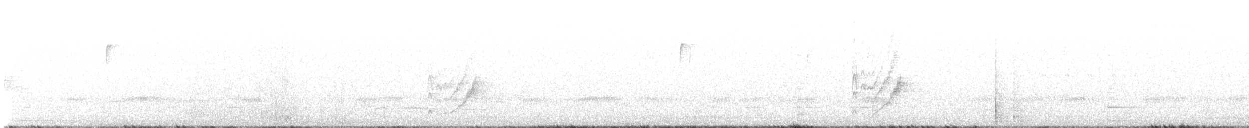 Thick-billed Kingbird - ML646198303