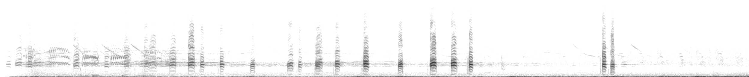 Black-faced Ibis - ML646198398