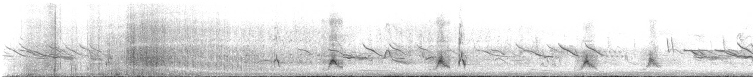 Crested Duck - ML646198513