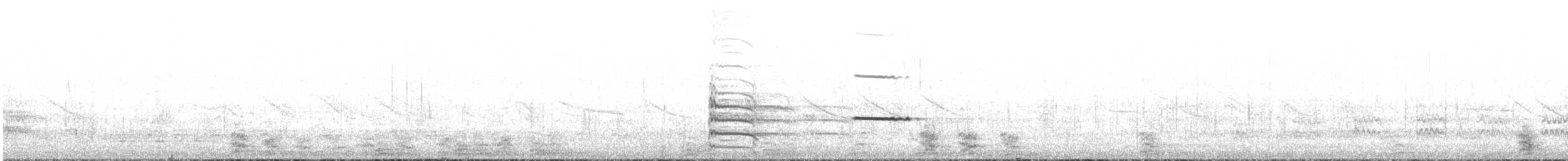 Magellanic Oystercatcher - ML646198533