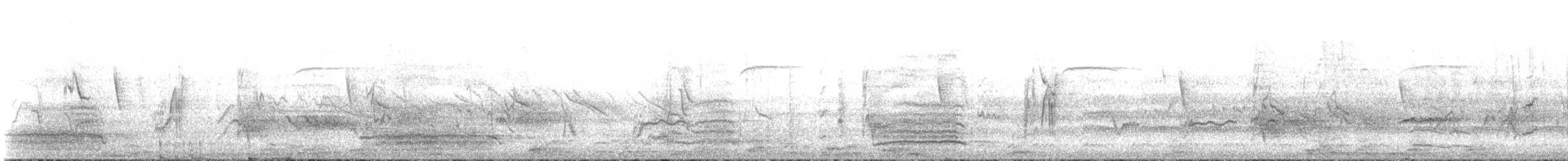 Black-chested Buzzard-Eagle - ML646198549