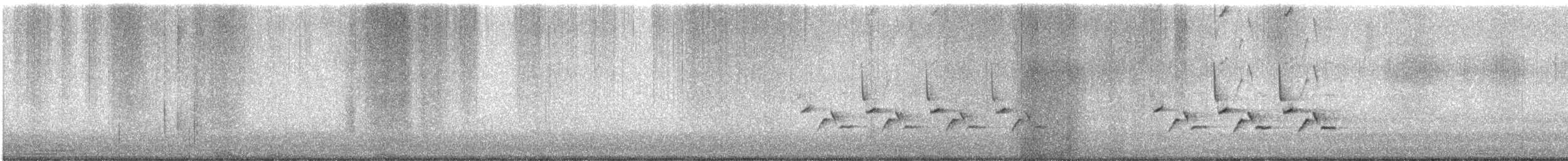 Carolina Wren - ML646199602