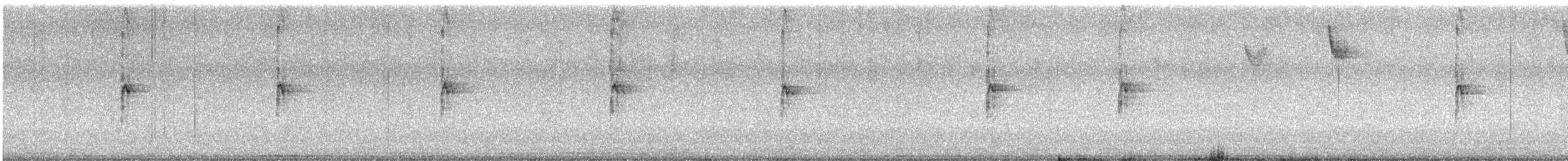 White-throated Sparrow - ML646199614