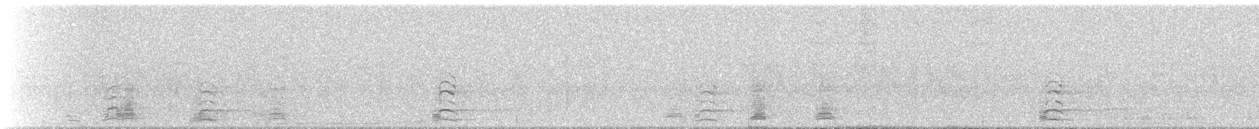 Snow Goose - ML646200514