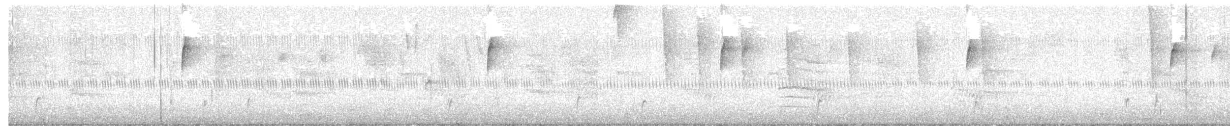 Swainson's Thrush - ML646200730