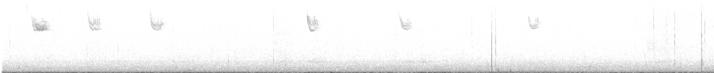 White-throated Sparrow - ML646201091