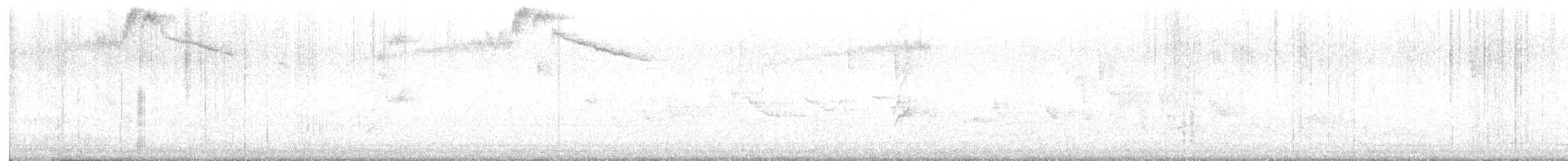 Costa's Hummingbird - ML646201605