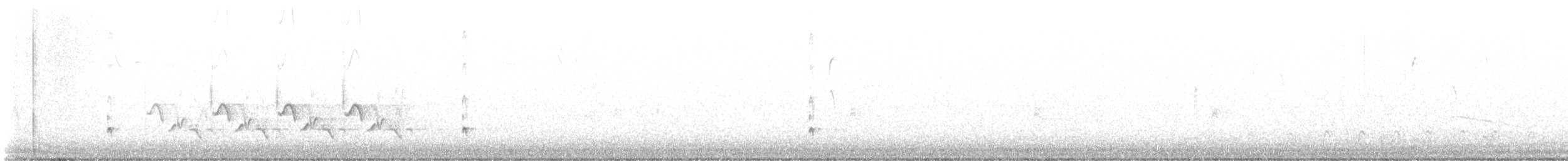 Ash-throated Flycatcher - ML646201767